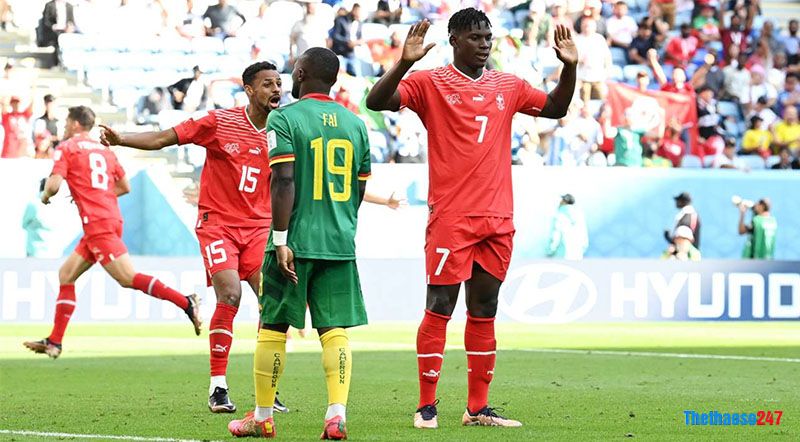 Kết quả Thụy Sĩ vs Cameroon - Ảnh 2